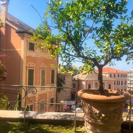 Flower Apartament